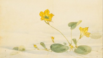 駱玉明：《詩(shī)》不語(yǔ)怪、力、亂、神