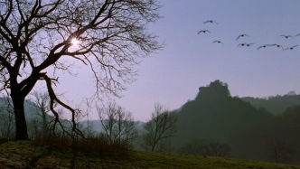 照護者說｜胡泳：在清明讀露易絲·格呂克