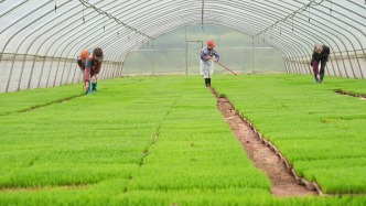 經(jīng)濟日報刊文：春耕保供容不得半點投機