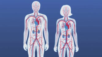 激素到底是如何影響女性一生的？