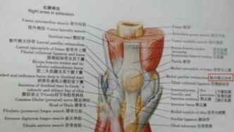膝盖“跑”了，把裤子撑起了一个骨节分明的包