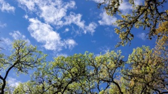 清明｜一年里最關(guān)鍵的“氣機轉(zhuǎn)折”，最怕“氣堵在上面”！關(guān)鍵要清對這一步