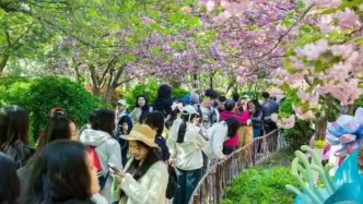 走出家門(mén)，擁抱春光：清明節(jié)假期多地文旅數(shù)據(jù)迎來(lái)小高峰