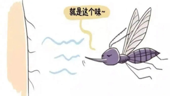 蚊子只叮你？恭喜，說(shuō)明你是一道“色香味俱全”的好菜