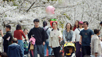 長三角春假“大軍”涌入，上海清明假期文旅市場“全線飄紅”