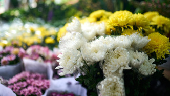 清明假期共接待現(xiàn)場(chǎng)祭掃群眾6273.4萬(wàn)人次，綠色低碳祭掃占比超六成