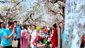 新疆庫爾勒40萬畝梨花次第盛開，游客慕名而來