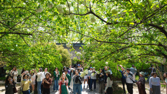 春假聯(lián)動下“最夯清明假期”收官：北京廣州西安酒店入住增長三成，海南淡季翻紅