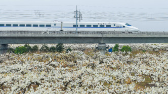 长三角议事厅·周报｜补齐跨城服务接口，交通圈才能成文旅圈