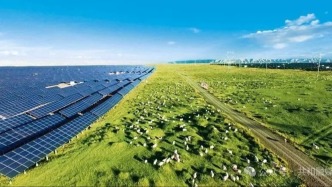 經(jīng)緯度：光伏羊，讓綠色發(fā)展照進“生物課大題”