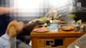 寵物狗在飯店桌上就餐？馬鞍山花山區(qū)市監(jiān)局：對就餐場所、餐具全面消殺