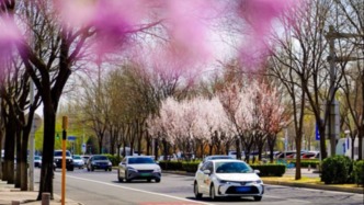 滴滴清明出行數(shù)據(jù)：異地打車需求上漲41%，AI打車需求上漲86%