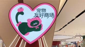 商场想“宠物友好”，法规有禁令：如何破局？