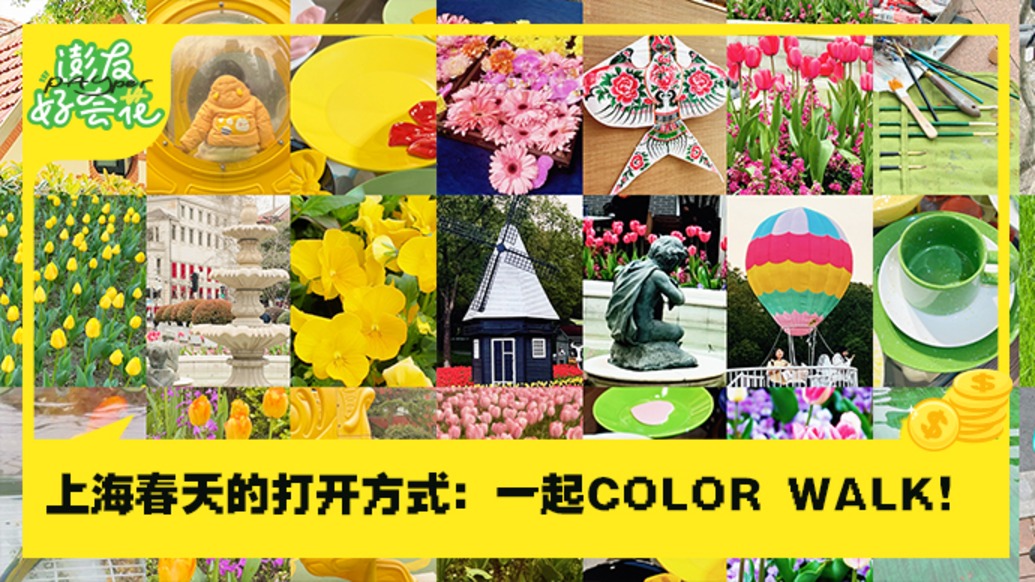 上海春日color walk地圖已上線，照著走就很浪漫?。煊押脮?huì)花