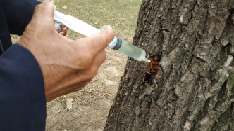 澎湃回聲｜多平臺(tái)下架“殺樹藥”，稱將嚴(yán)格管控農(nóng)藥類商品