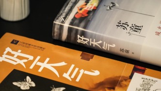 小說《好天氣》拍了5集AI微電影，蘇童：我支持