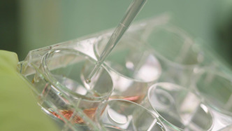 改寫難治性癲癇治療格局，上海企業(yè)推出全球首創(chuàng)藥物獲中美IND雙批