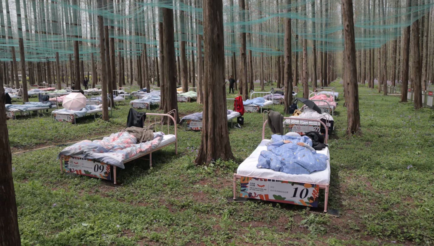 “乡”遇魔都｜在崇明参加一场“睡眠大赛”，在春天萌发一颗种子