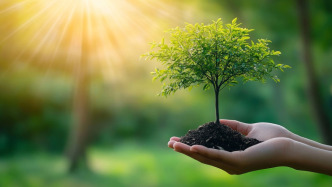 全國人大常委會部分組成人員參加義務(wù)植樹