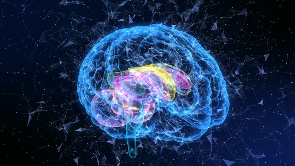 如果离职员工被训练成AI数字人继续工作，该紧张吗？