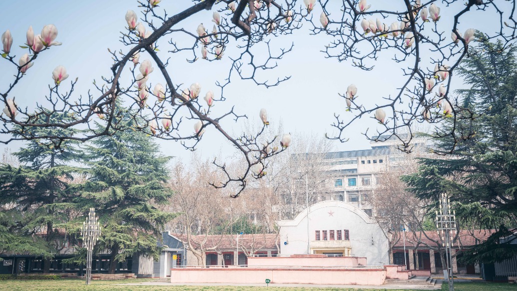 西北大学：对教师贾某某涉嫌学术论文抄袭等问题启动调查