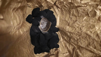 33只用襪子包裹的瀕?；铙w龜，被上海浦東機場海關(guān)查獲