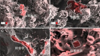 月壤“時間膠囊”揭示太陽系有機質(zhì)演化史