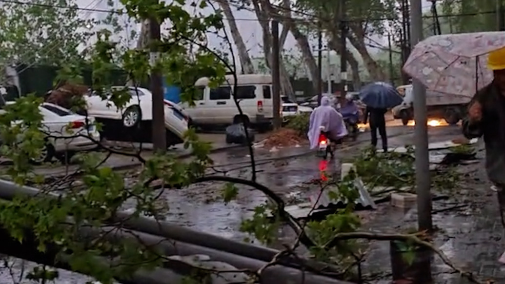 武汉凌晨遭遇暴雨冰雹有树木倒伏，气象部门发布暴雨红色预警