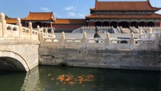 从赣南这座小城出发，这里的红鲤鱼游进北京了