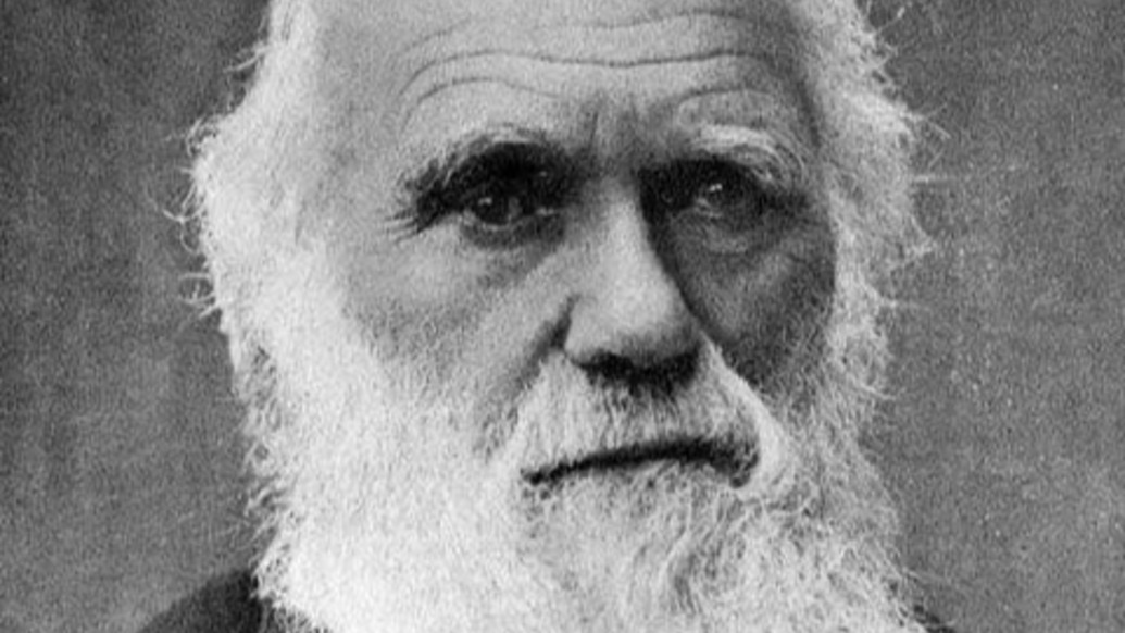 历史上的今天｜1882年4月19日，进化论的奠基人达尔文逝世