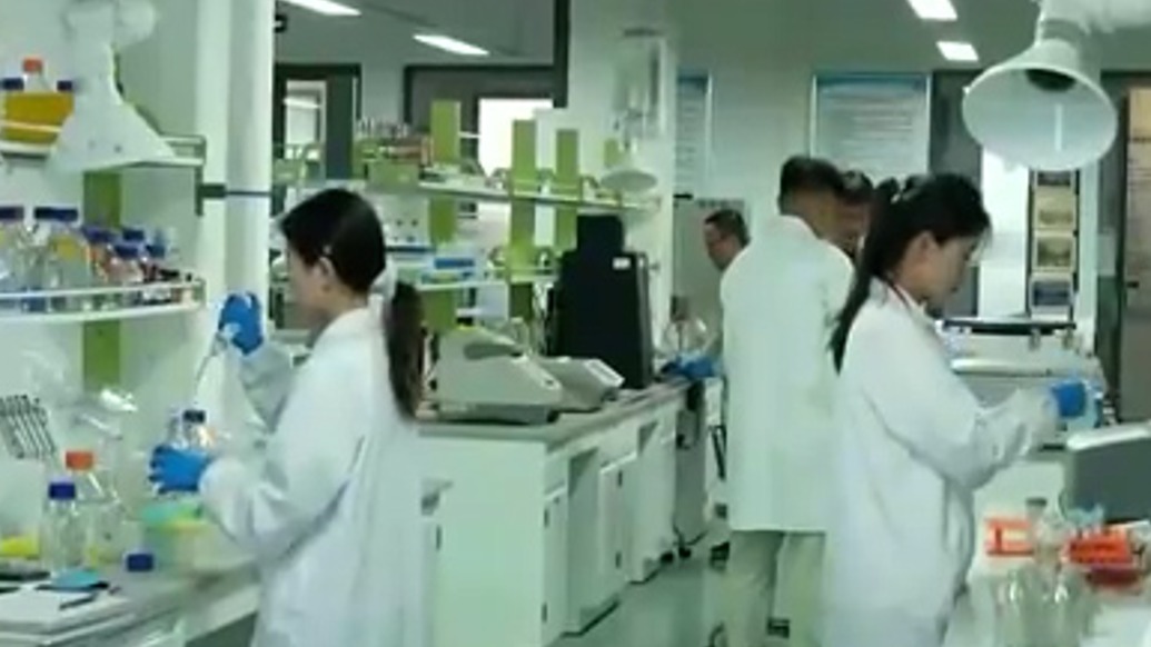 多所高校强基计划取消“竞赛破格”