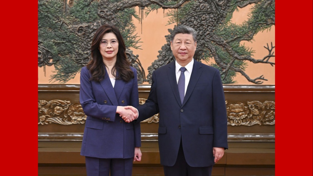 详讯丨习近平总书记会见中国国民党主席郑丽文