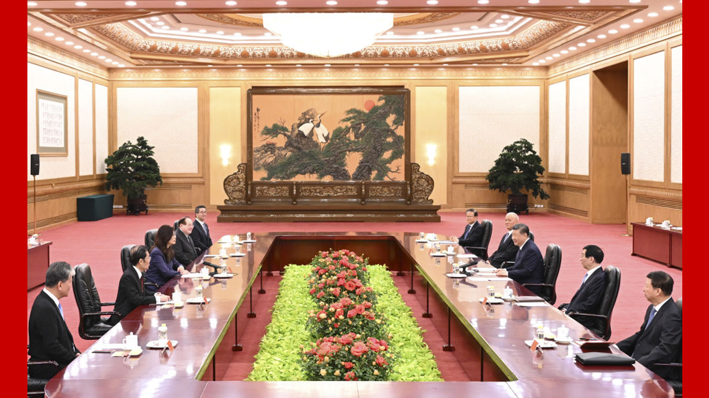 视频丨习近平会见郑丽文：两岸同胞走亲走近、走到一起的大潮流不会改变