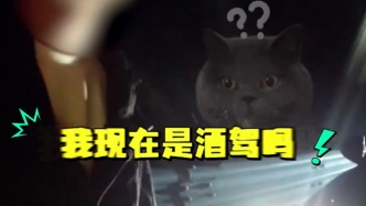 醉駕停高速應(yīng)急車(chē)道睡覺(jué)，司機(jī)被查后問(wèn)交警：我現(xiàn)在是酒駕嗎？