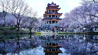 春秋假占用的教學(xué)時(shí)間如何補(bǔ)回？多省份不動(dòng)寒暑假“蛋糕”