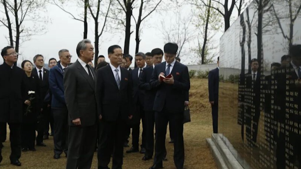 王毅祭扫江东郡中国人民志愿军烈士陵园