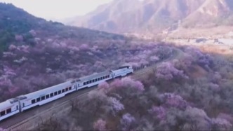 中國經(jīng)濟一季報丨11.33億人次+5.5% 鐵旅融合讓消費“加速跑”