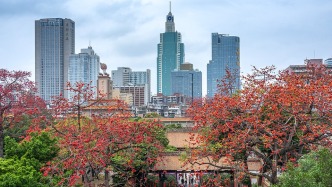 夜讀｜廣州的春天