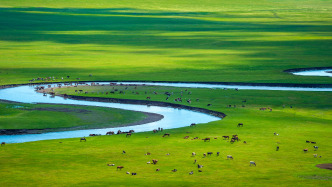 內(nèi)蒙古自貿(mào)試驗區(qū)誕生：有哪些創(chuàng)新？帶來哪些機遇？
