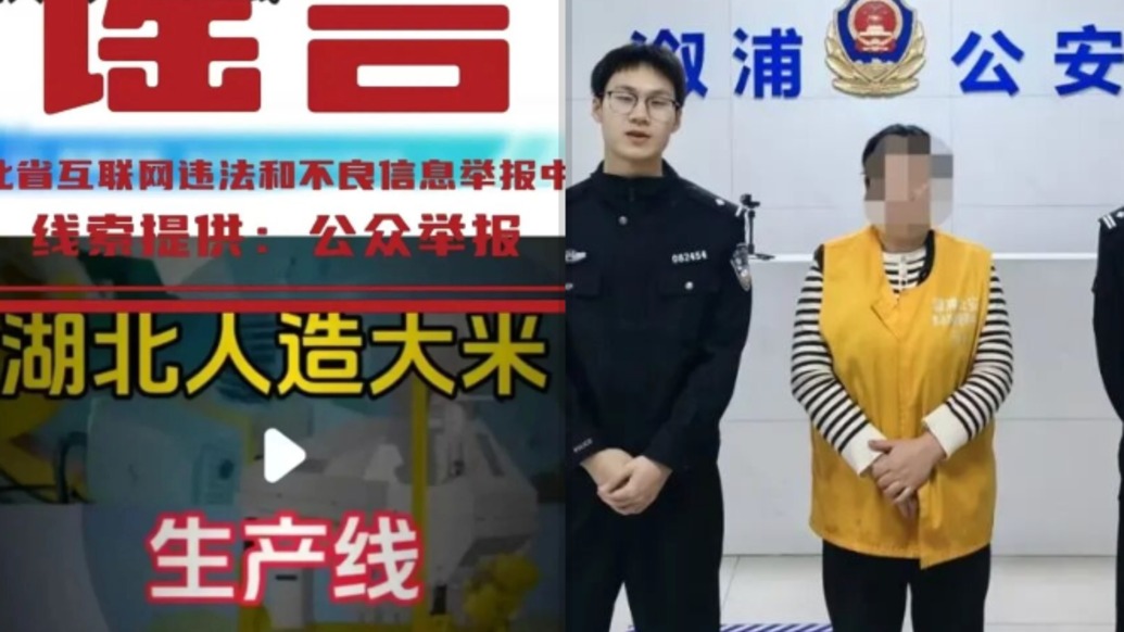 利用AI制作“人造大米生產(chǎn)線”虛假視頻，舒某被處罰