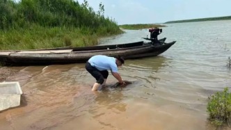 4人嘴饞江鮮非法捕捉中華鱘獲刑，涉案中華鱘已被放歸長江