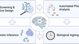 逆轉(zhuǎn)衰老新希望！呂宇軒/鮮波/朱健康等系統(tǒng)解析高通量篩選+AI，加速“長(zhǎng)壽藥”從實(shí)驗(yàn)室走向臨床