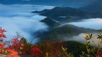 春染大别山，安徽六安邀你共赴春日之约