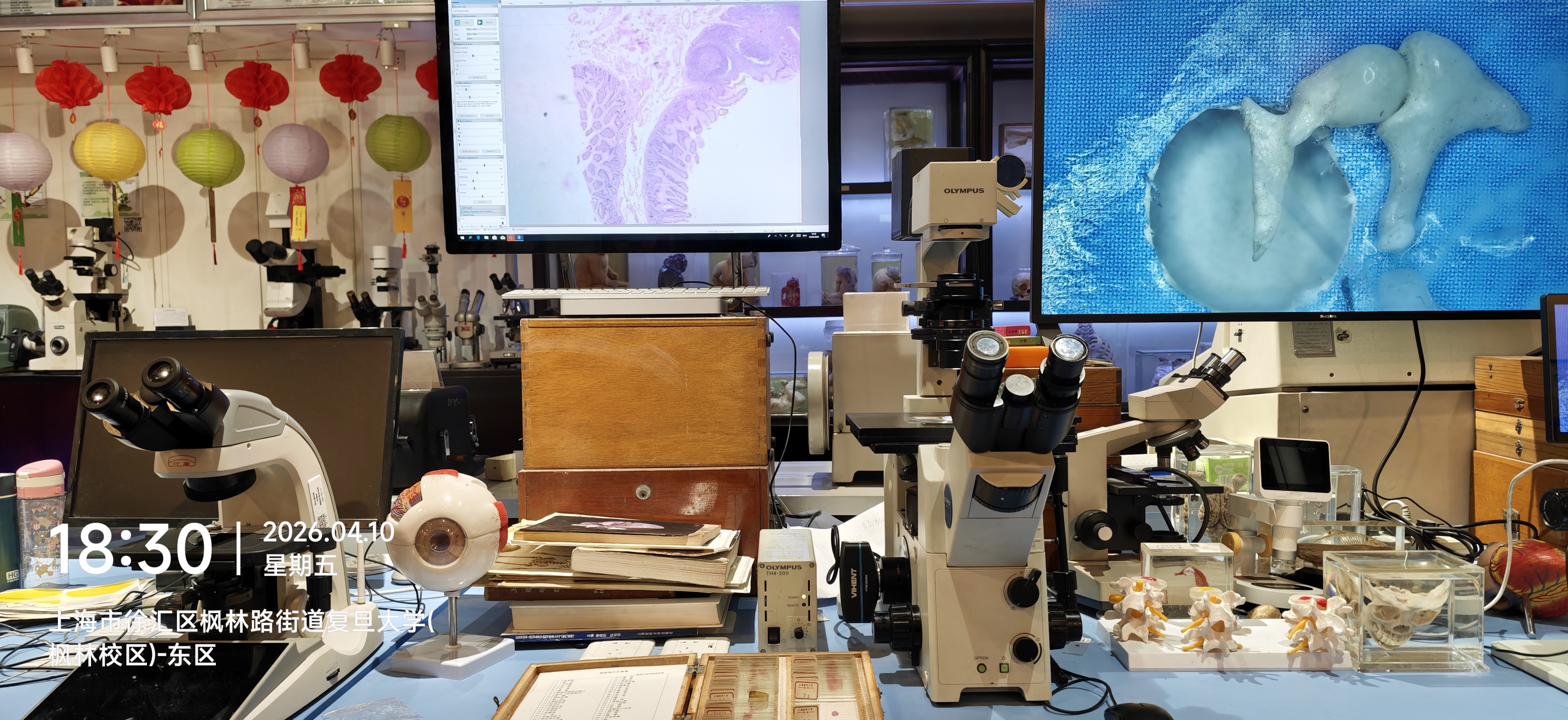 复旦大学人体科学馆，可近距离观察人体组织标本。