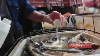 嚴禁使用丁香酚等違禁物質，北京發(fā)布活魚經營行為提示