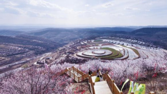 西北賞花經(jīng)濟(jì)升溫：從一季風(fēng)光到全域產(chǎn)業(yè)