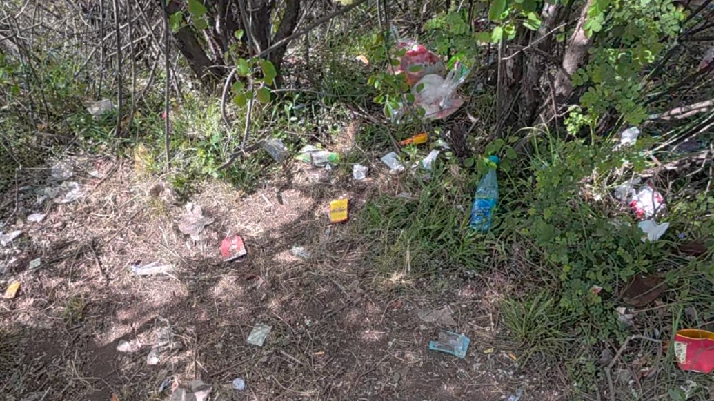 馬上看丨走在秦嶺山里的志愿者：游客扔垃圾會形成“破窗效應”