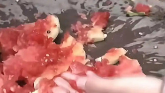 18噸西瓜連開30個全是壞瓜？云南勐遮鎮(zhèn)：聯合多部門加大各環(huán)節(jié)監(jiān)管