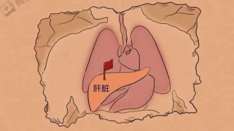 這兩種食物是公認(rèn)的“肝臟殺手”，醫(yī)生：趕緊撤下你家餐桌