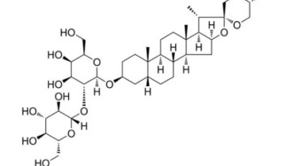 Nature子刊：同濟(jì)大學(xué)楊靜/梁愛(ài)斌團(tuán)隊(duì)利用中藥增強(qiáng)CAR-T抗癌效力，并預(yù)防復(fù)發(fā)